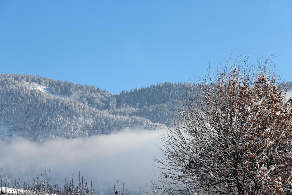 Hotel La Tapia Autrans-Meaudre-en-Vercors Bagian luar foto